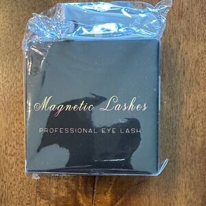 Magnetic Lashes Professional Eye Lash